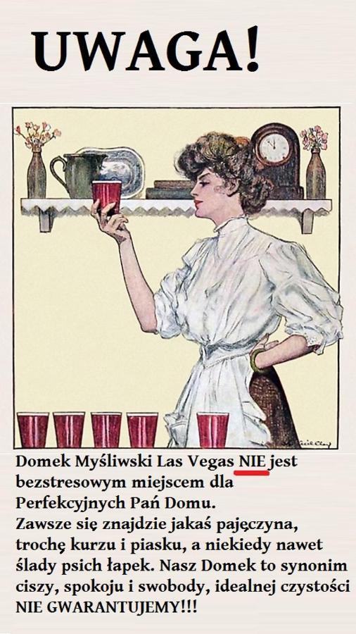 Domek Mysliwski Las Vegas Mierzyn  Dış mekan fotoğraf